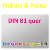 Plakat B1 quer (1000 x 700 mm) beidseitig 5/5-farbig bedruckt (CMYK 4-farbig + 1 Sonderfarbe HKS oder Pantone)