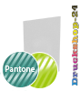 Visitenkarten hoch 5/0 farbig 50 x 90 mm mit beidseitig partieller UV-Lackierung <br>einseitig bedruckt (CMYK 4-farbig + 1 Pantone-Sonderfarbe)