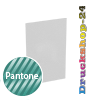 Visitenkarten hoch 5/0 farbig 55 x 85 mm mit einseitigem partiellem UV-Lack <br>einseitig bedruckt (CMYK 4-farbig + 1 Pantone-Sonderfarbe)