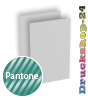Visitenkarten hoch 5/5 farbig 50 x 90 mm mit einseitigem partiellem UV-Lack <br>beidseitig bedruckt (CMYK 4-farbig + 1 Pantone-Sonderfarbe)